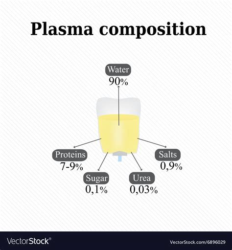 Composition of blood plasma infographics Vector Image