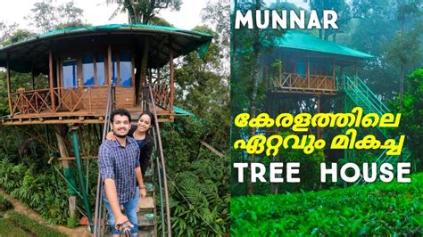 Best TREE HOUSE In Kerala | at Munnar | Resort in Munnar | Honeymoon Resort | Pineapple Couple ...