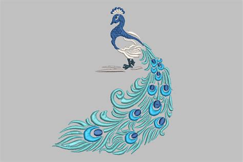 Peacock | Hatch Free Designs