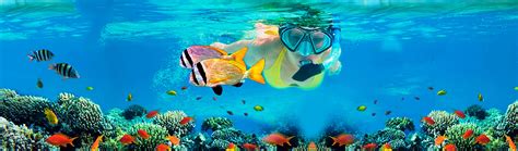 Snorkeling at Andaman - Andaman Beach Combing