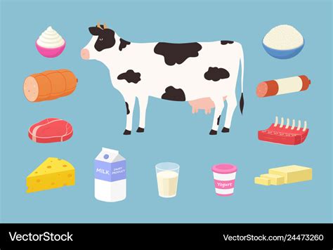 Dairy products and meat products from cows Vector Image