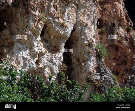 The caves of mount Carmel Israel Stock Photo - Alamy