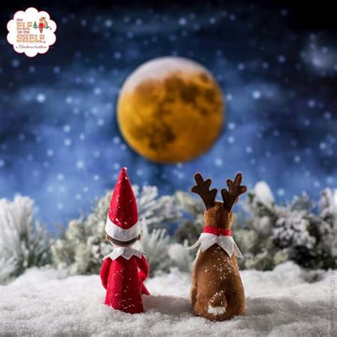 Elf moon | Christmas elf, Elf pets, Elf