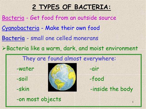 PPT - 2 TYPES OF BACTERIA: Bacteria - Get food from an outside source ...