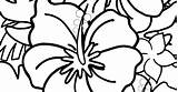 Hibiscus Flower Coloring Page sketch template