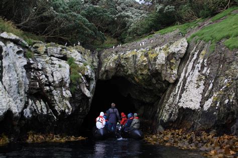 Discover the most remote Subantarctic Islands