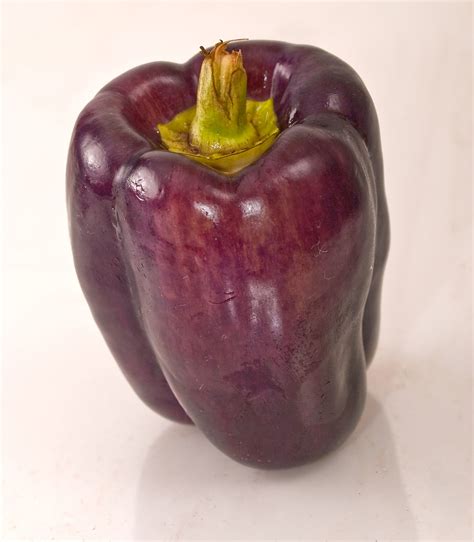 Purple bell pepper 389 | Purple bell pepper. Surprisingly, i… | Flickr