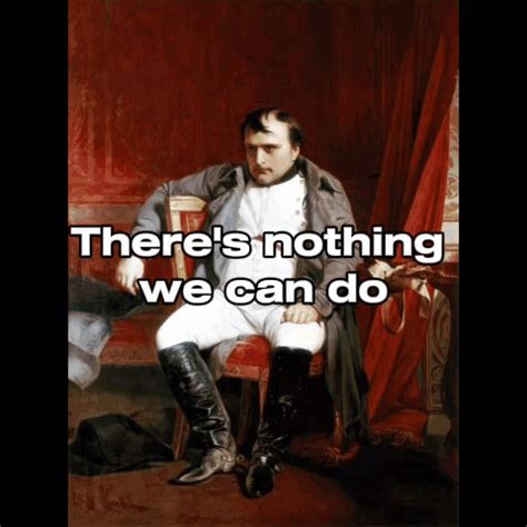 Napoleon There'S Nothing We Can Do Pyritesian GIF - Napoleon there's ...