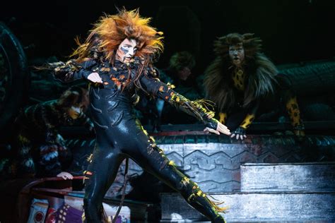 Phenomenal felines: ‘Cats’ returns to Robinson with new choreography ...