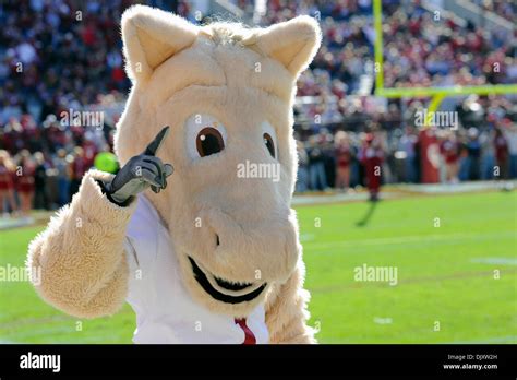 Oklahoma sooners mascot hi-res stock photography and images - Alamy