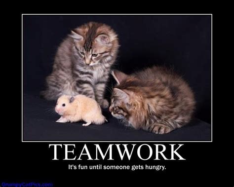 Teamwork Funny Quotes Teamwork, it's fun until | Beauty Sales Careers | Pinterest | Teamwork funny