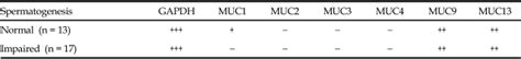 Mucin Gene Expression in the Human Testis as Related to Spermatogenesis | Download Scientific ...