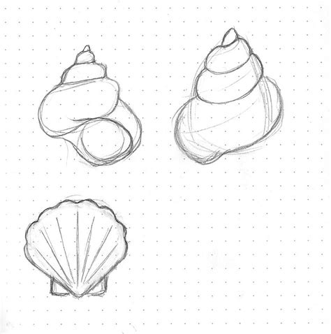 Simple Shell Drawing at PaintingValley.com | Explore collection of ...