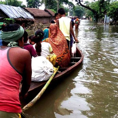 Flood hits 8 districts of Bihar, nearly half a million people affected