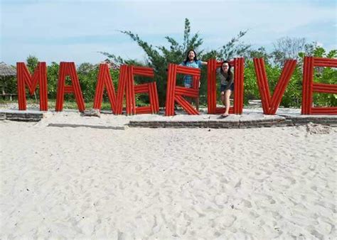 12 Potret Pantai Mangrove Terbaru, Tiket Masuk dan Daya Tarik - Pariwisata Sumut