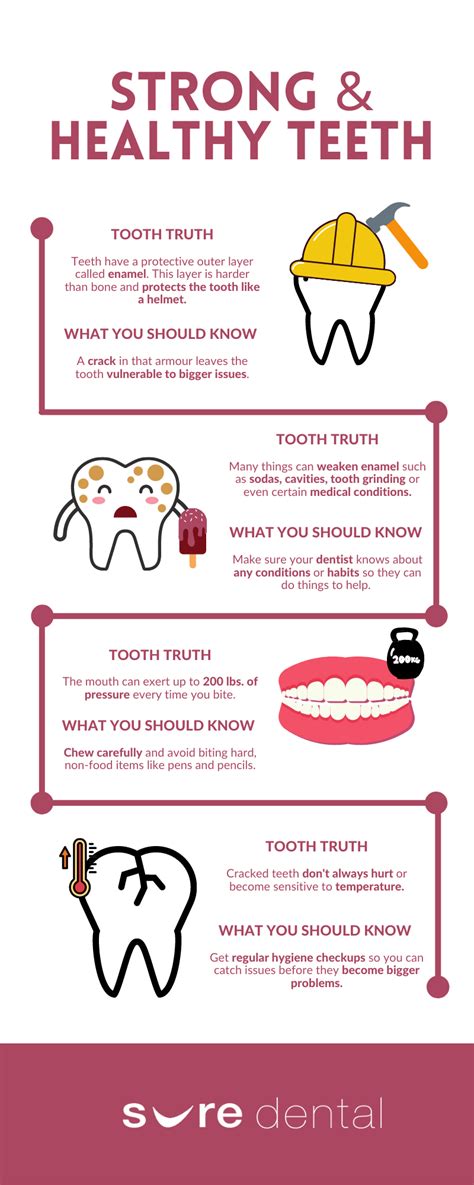 Strong & Healthy Teeth Infographic - Sure Dental