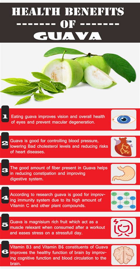 Guava Fruit Nutrition Facts and Health Benefits – UPaae