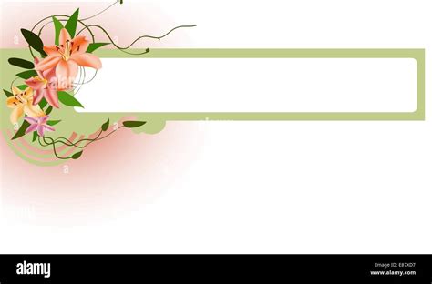 Vector illustraition of elegant floral border Stock Vector Image & Art ...