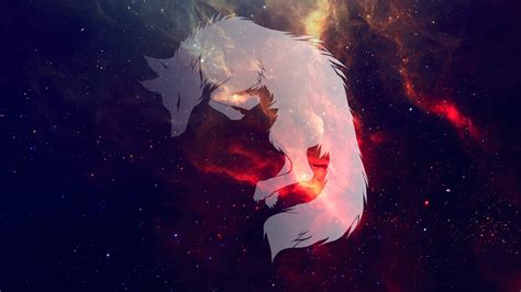 White fox wallpaper HD wallpaper | Wallpaper Flare