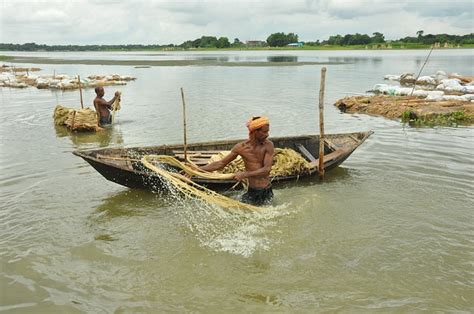 Agriculture Bangladesh - Free photo on Pixabay