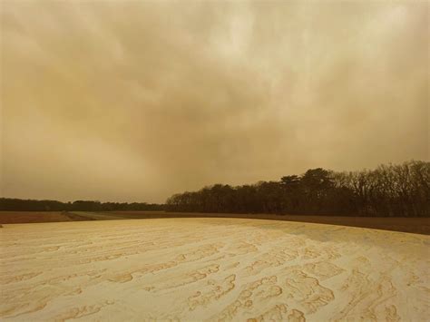 PLUIES CHARGÉES DE SABLE DÈS CE MERCREDI 22 FÉVRIER 2023