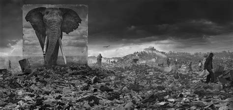 Nick Brandt: Inherit the Dust | MONOVISIONS - Black & White Photography Magazine