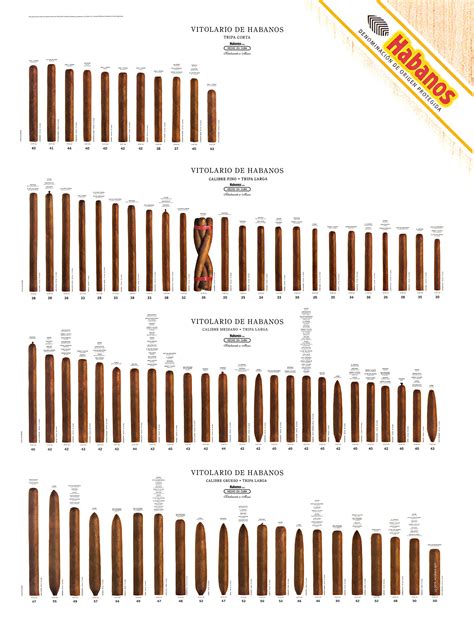 Buy Habanos Cuban Cigar Size Guide (4 Rows) 48"x 36" Liited Edition ...