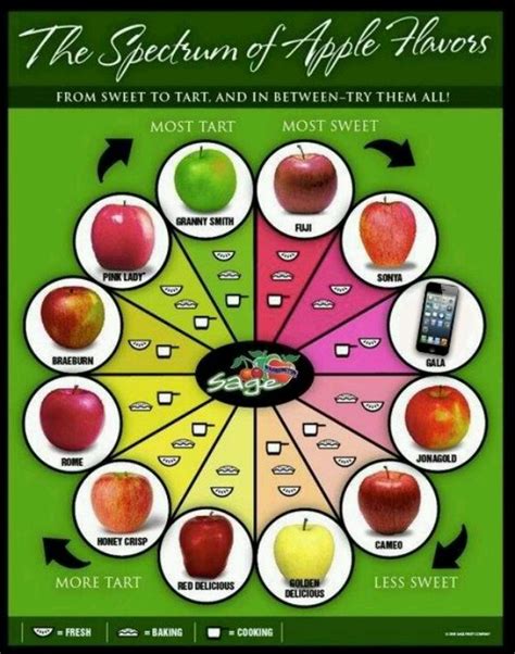 Apple varieties | Cooking guide, Apple chart, Food facts