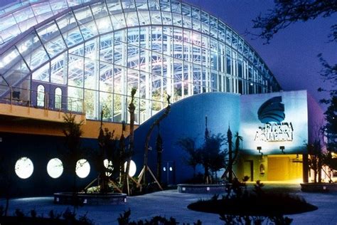 Florida Aquarium is one of the very best things to do in Tampa