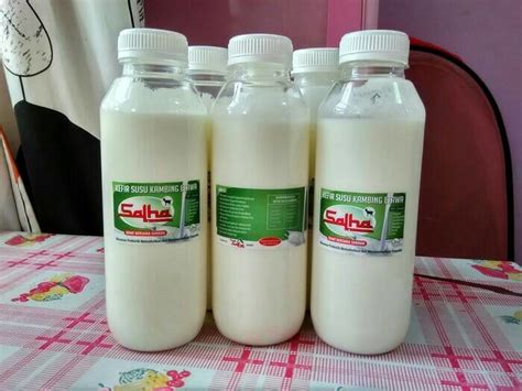 0813-9264-9589 Susu Etawa Segar : Jual Susu Kambing Etawa di Sawah ...