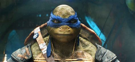 Leadership Lessons From the Teenage Mutant Ninja Turtles | Inc.com