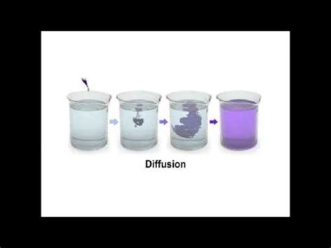 DIFUSION MOLECULAR 1 - YouTube