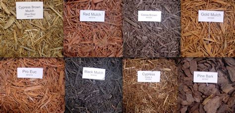 mulch varieties | Types of mulch, Garden mulch, Mulch landscaping