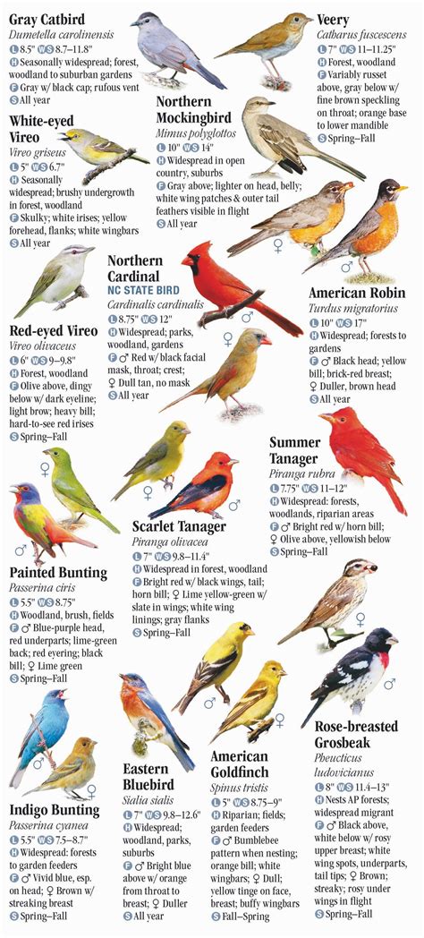 Birds of North Carolina, South Carolina and Georgia – Quick Reference ...