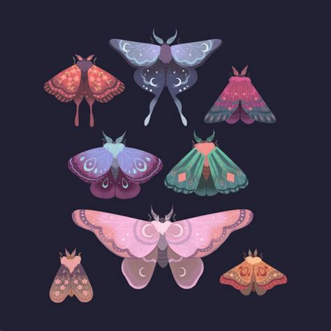 Magical Moths | Moth art, Insect art, Moth drawing