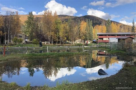 Soaking in Chena Hot Springs: Alaska's Thermal Wonder