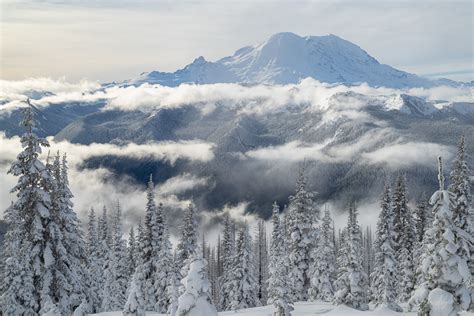 Mt. Rainier Winter | Mt. Rainier, WAshington | Kelly Selzler Photography