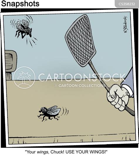 Fly-swatter Cartoons and Comics - funny pictures from CartoonStock