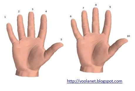 VOOLANET: Finger Multiplication of 9