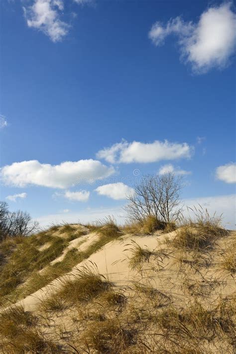 Indiana Dunes SP,early Winter Stock Image - Image of scenic, state: 134326241