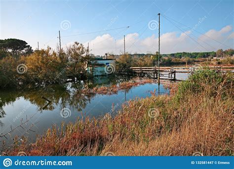 Ravenna, Emilia Romagna, Italy: Wetland in the Nature Reserve Po Stock Image - Image of delta ...