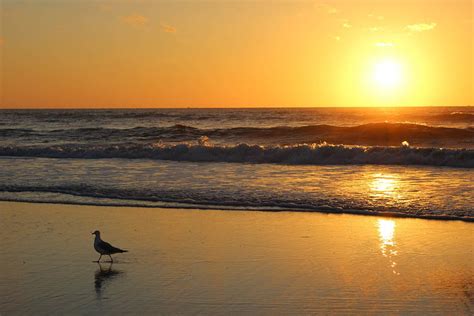 Top 3 Things To Do At Jacksonville Beach Pier – My WordPress