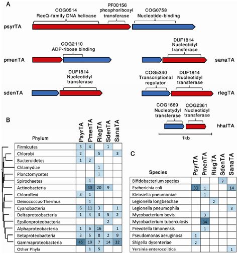 Discovery of functional toxin/antitoxin systems in bacteria by shotgun cloning. - Abstract ...