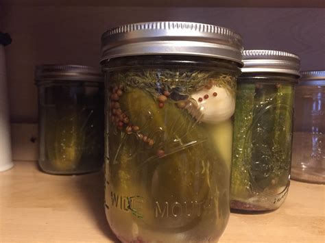 My first try at sour garlic pickles 😋 : r/fermentation