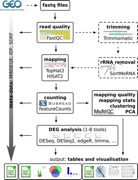 GEO2RNAseq: An easy-to-use R pipeline for complete pre-processing of RNA-seq data | bioRxiv