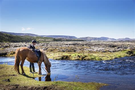 Horseback Riding in the Lava Fields | Guide to Iceland