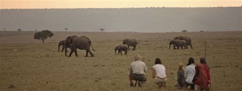 Elephant Pepper Camp | Kenya | Africa Sky