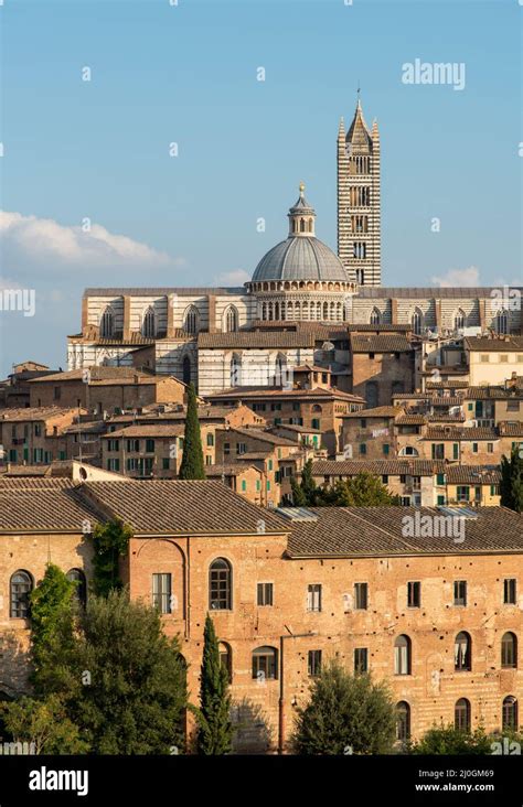 Medieval town of Siena and the Duomo di siena cathedral, Tuscany, italy Stock Photo - Alamy