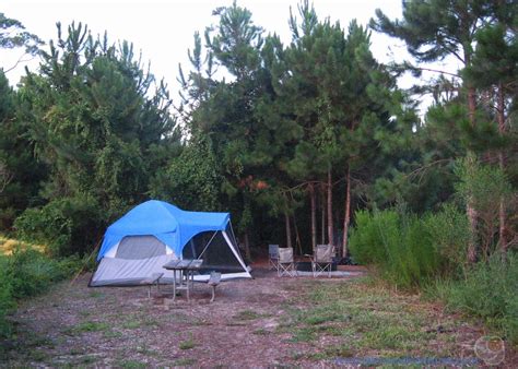 25 Best Places to Camping in Alabama in 2022