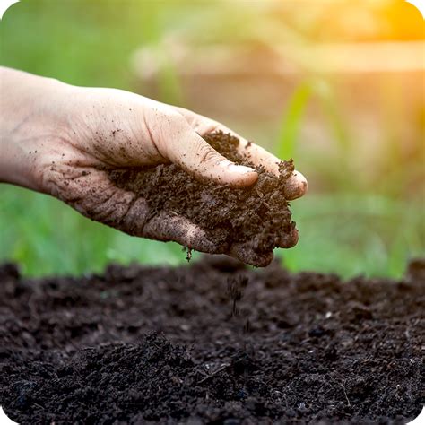 Soil Preparation – Shakti Agrotech